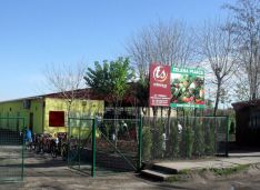 green market_aleksandrovo_6